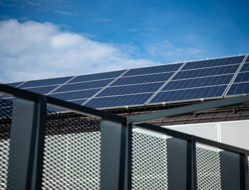Innovatieve oplossing voor zonnepanelen met vogelschroot ter vermindering van vogelproblemen.